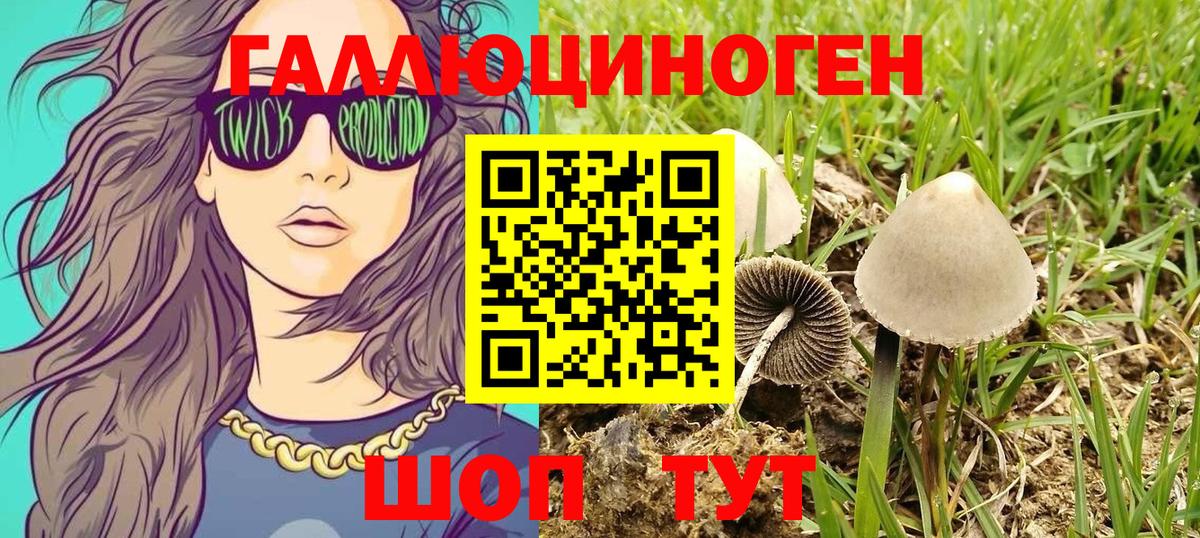 Псилоцибиновые грибы ЛСД  цены   Шадринск  Вход с VPN 